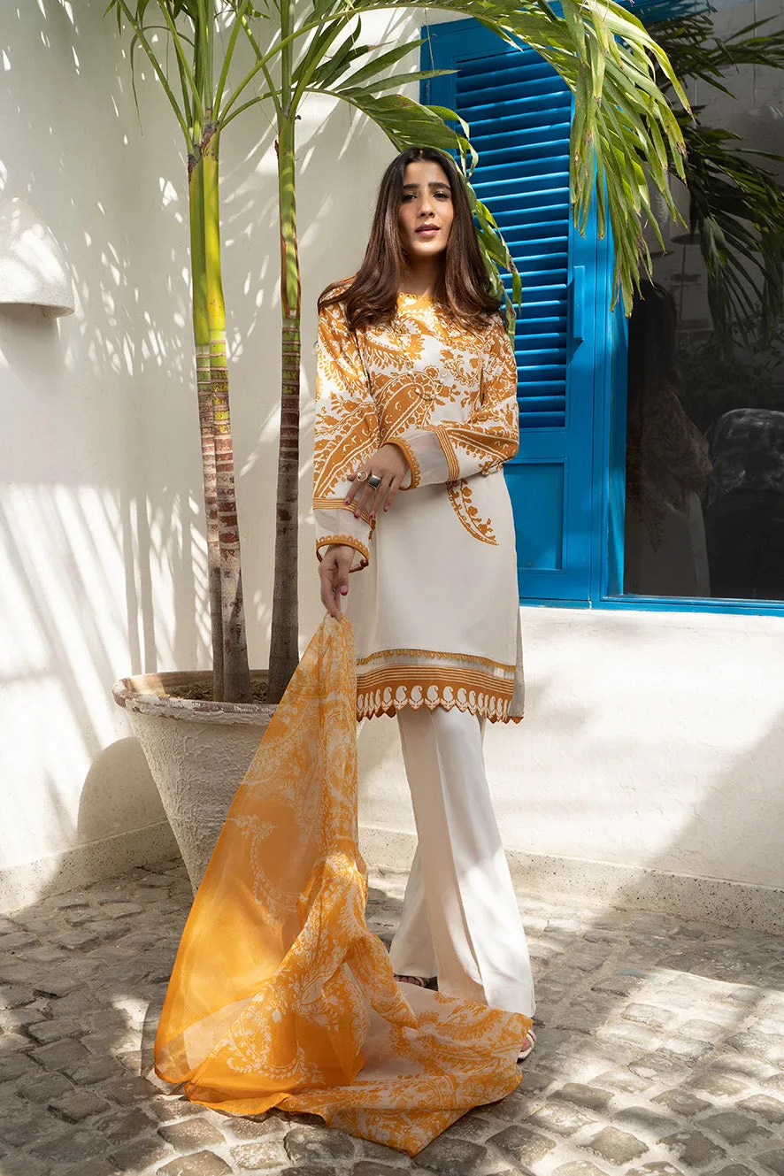 Ghokin Dupatta