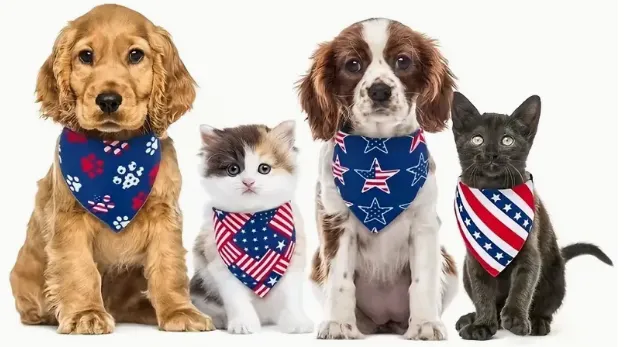 Independence Day Pet Dog Triangle Towel Pet Cat Dog Scarf Bandana (Red)
