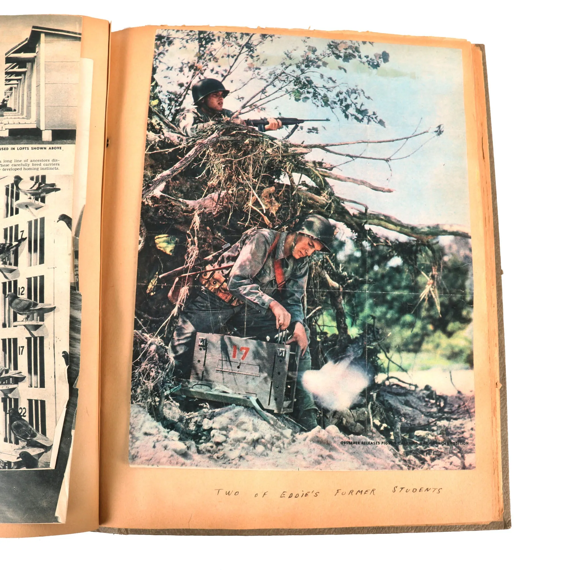 Original U.S. WWII Extensive Pigeon Breeding Group Scrapbook with Patch & Currency Collection - Over 200 Photographs