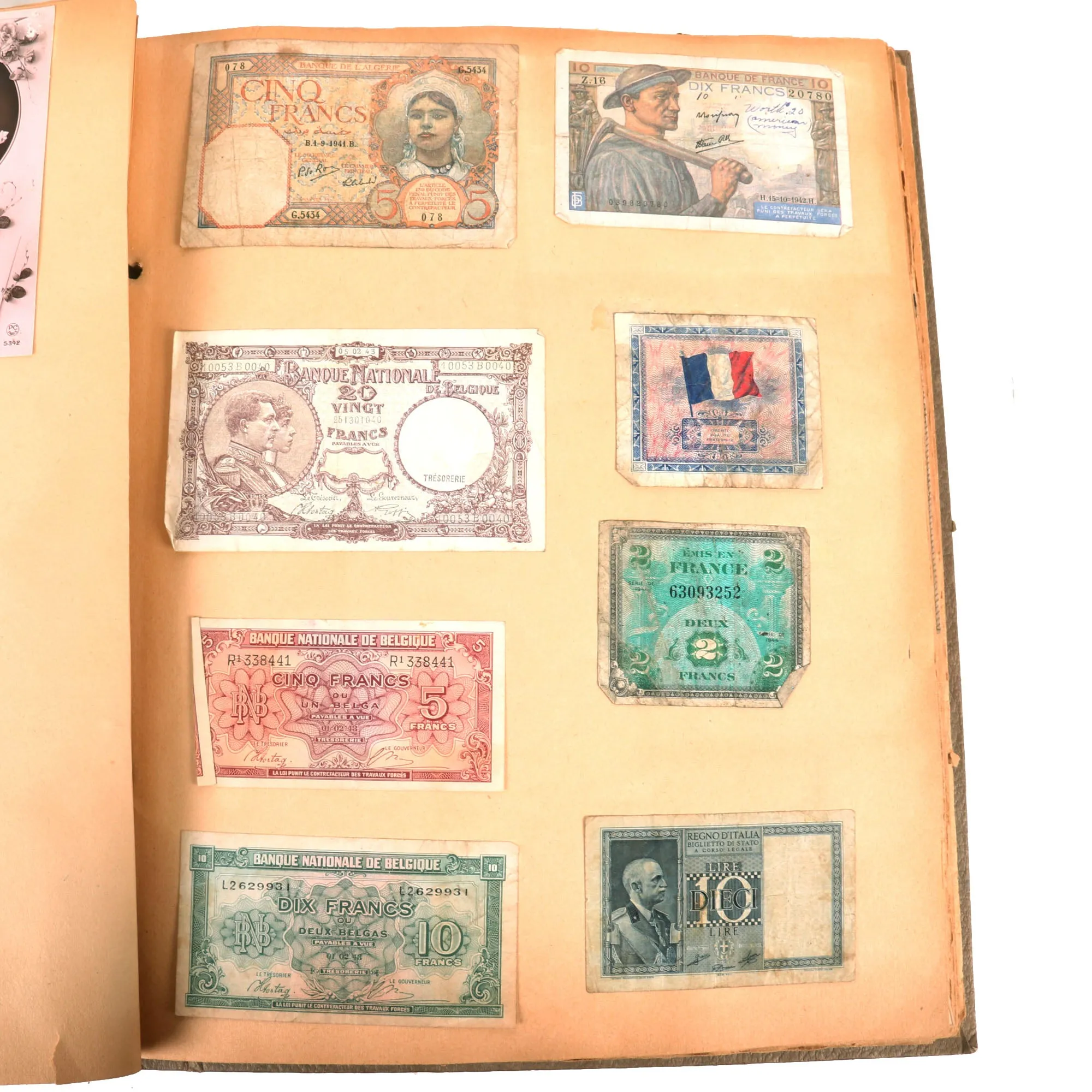 Original U.S. WWII Extensive Pigeon Breeding Group Scrapbook with Patch & Currency Collection - Over 200 Photographs