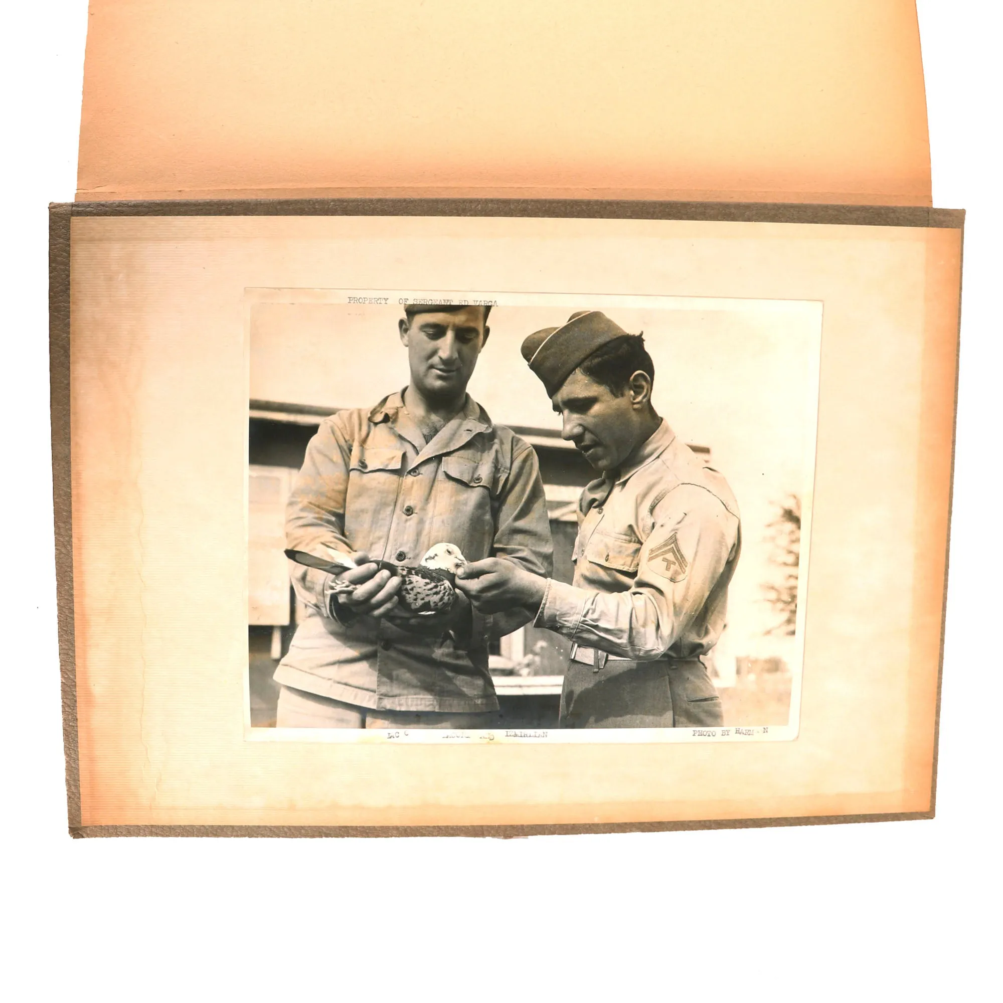 Original U.S. WWII Extensive Pigeon Breeding Group Scrapbook with Patch & Currency Collection - Over 200 Photographs