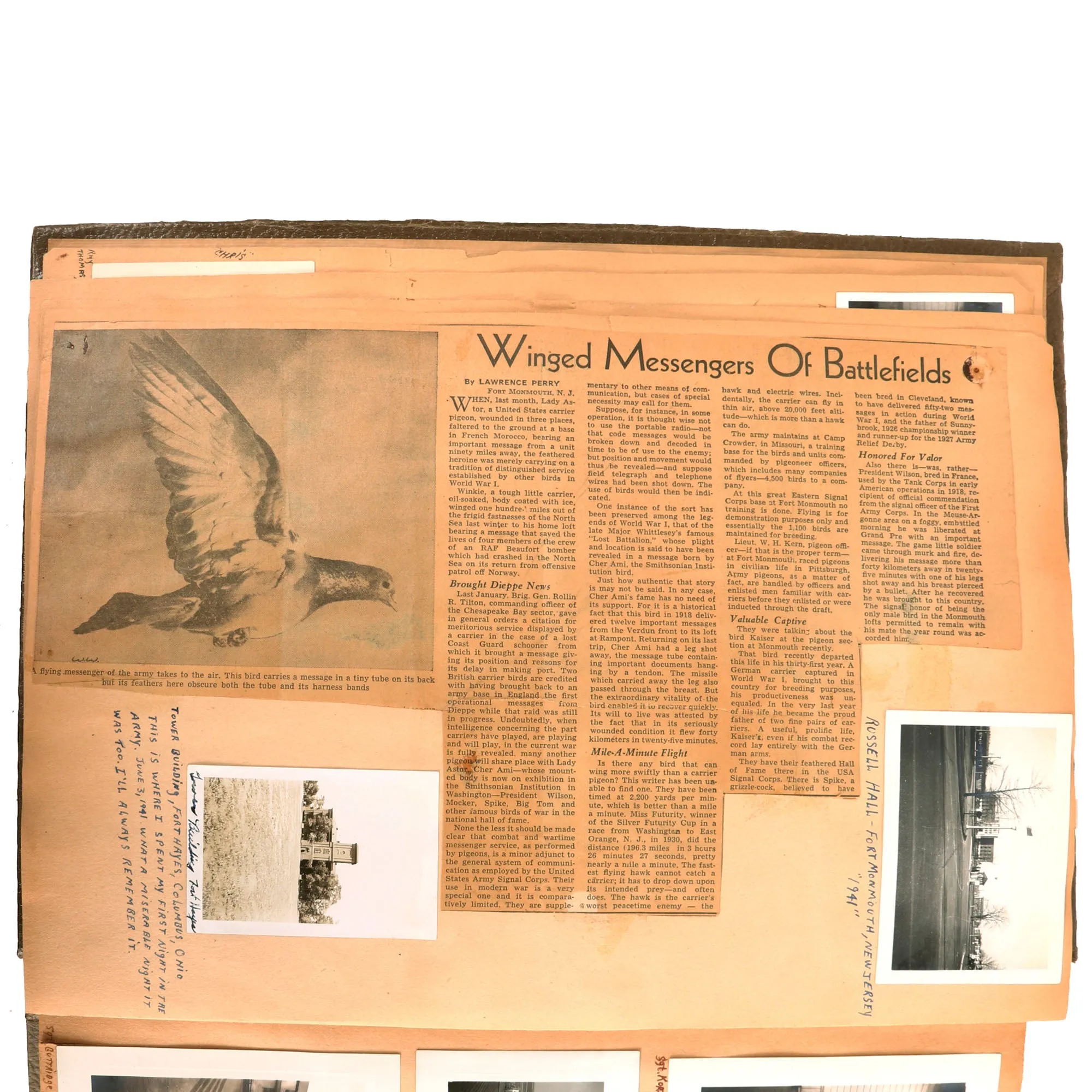 Original U.S. WWII Extensive Pigeon Breeding Group Scrapbook with Patch & Currency Collection - Over 200 Photographs