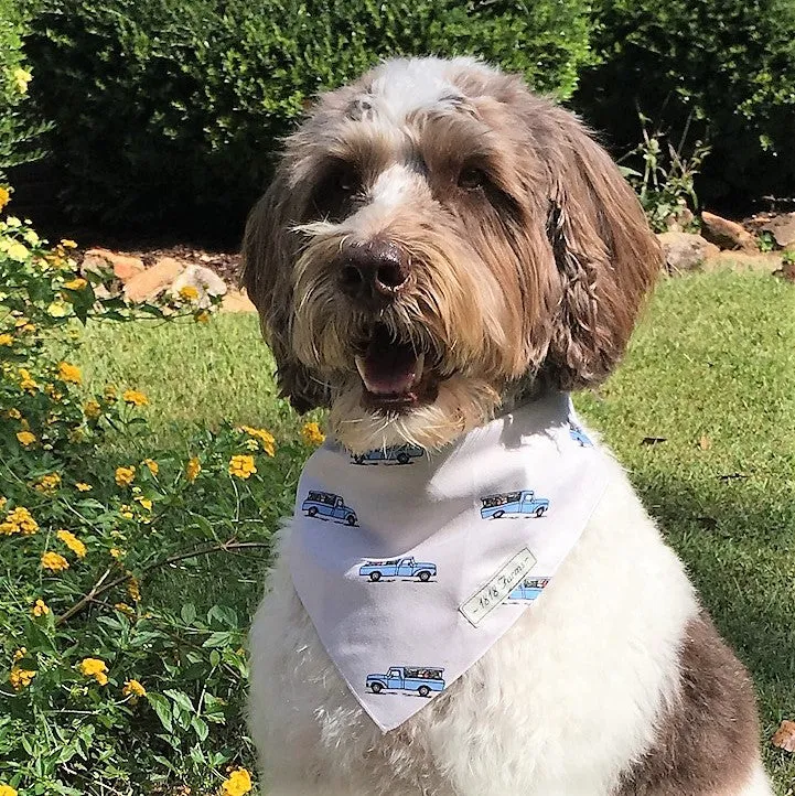 Pet Bandana