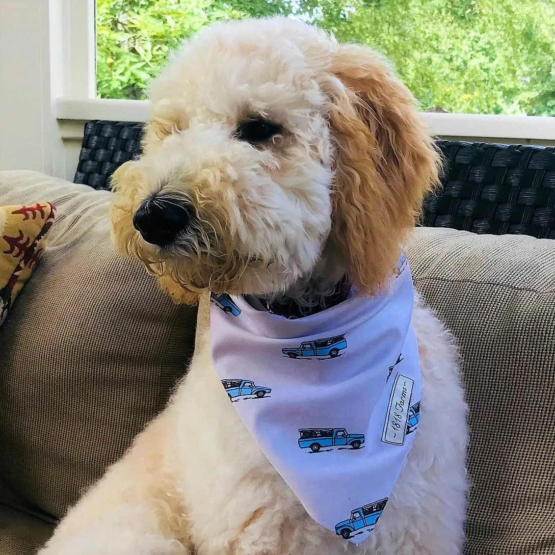 Pet Bandana