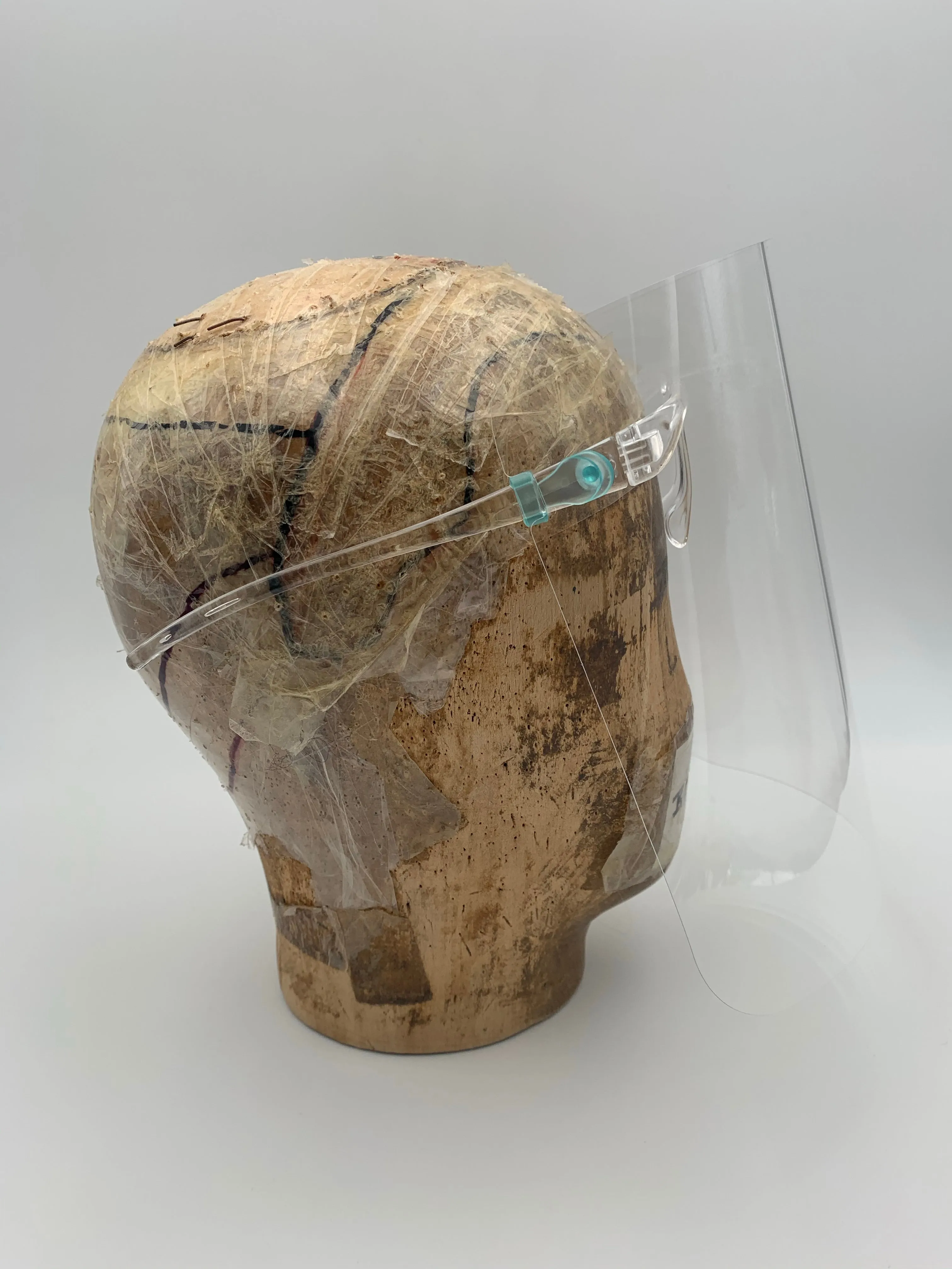 Visor/Face Shield