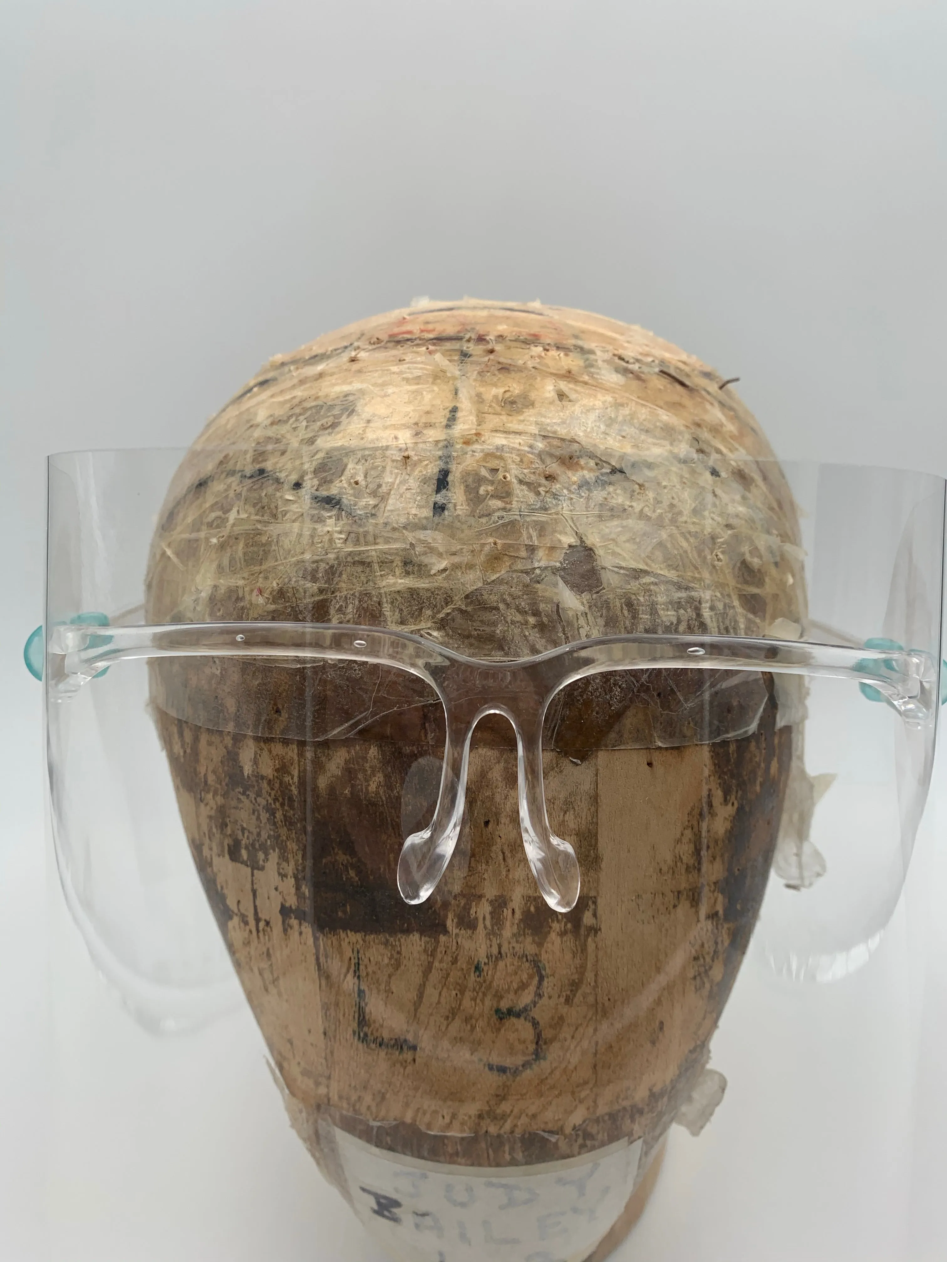 Visor/Face Shield