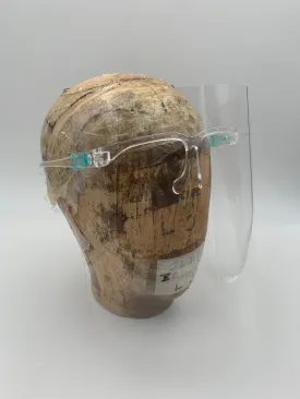 Visor/Face Shield